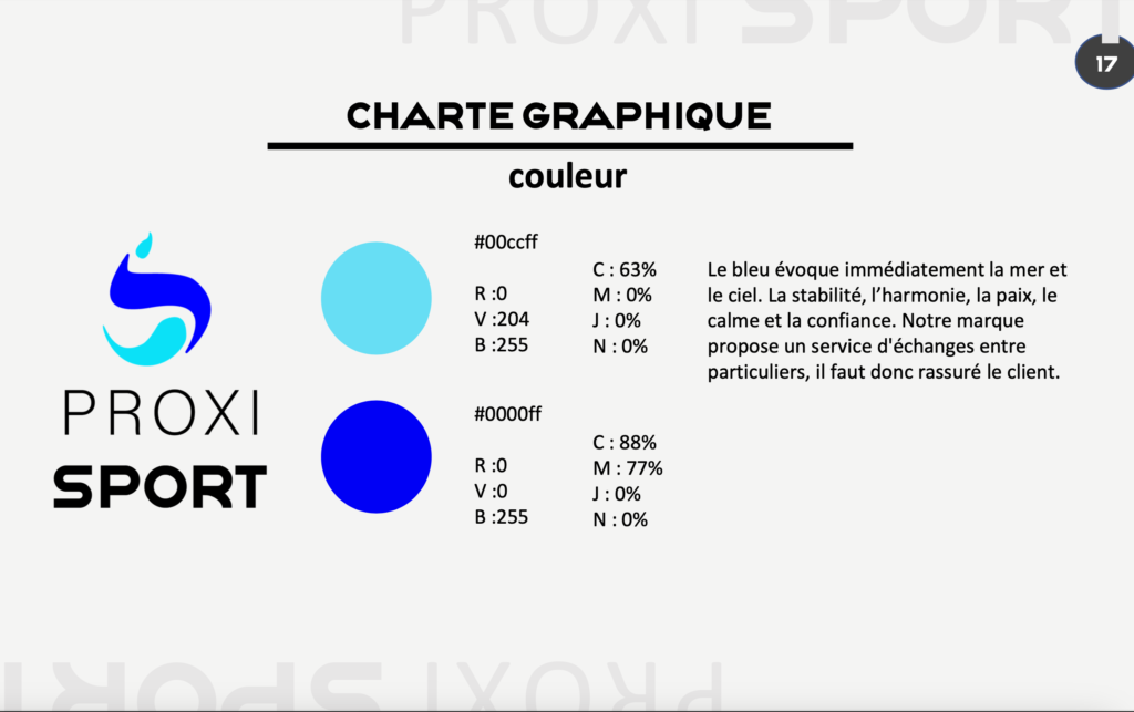 extrait charte graphique couleur